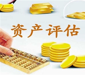 車(chē)輛價(jià)值評(píng)估